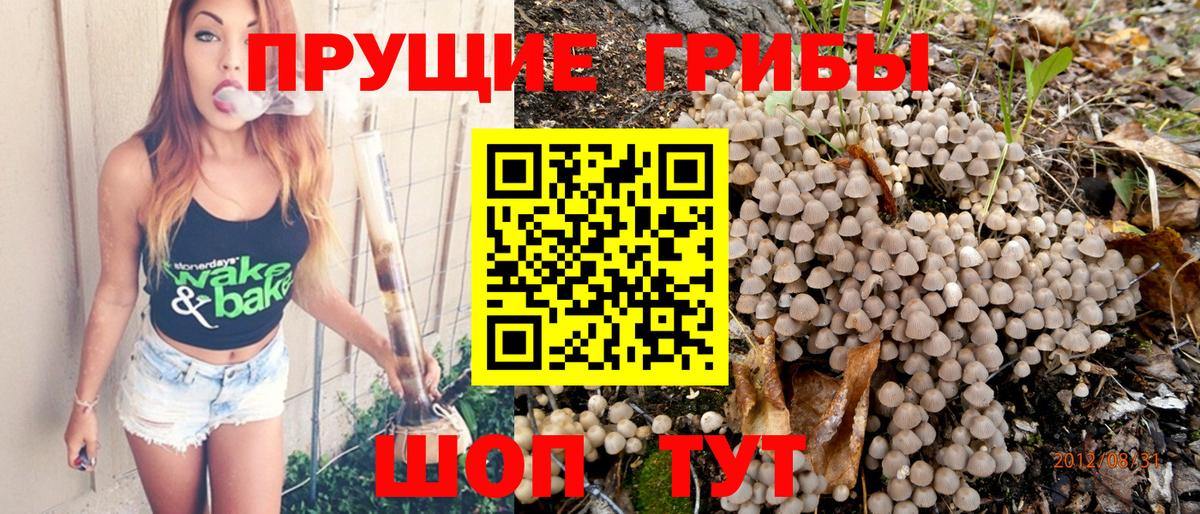 Керчь  Псилоцибиновые грибы мицелий  Вход с VPN 