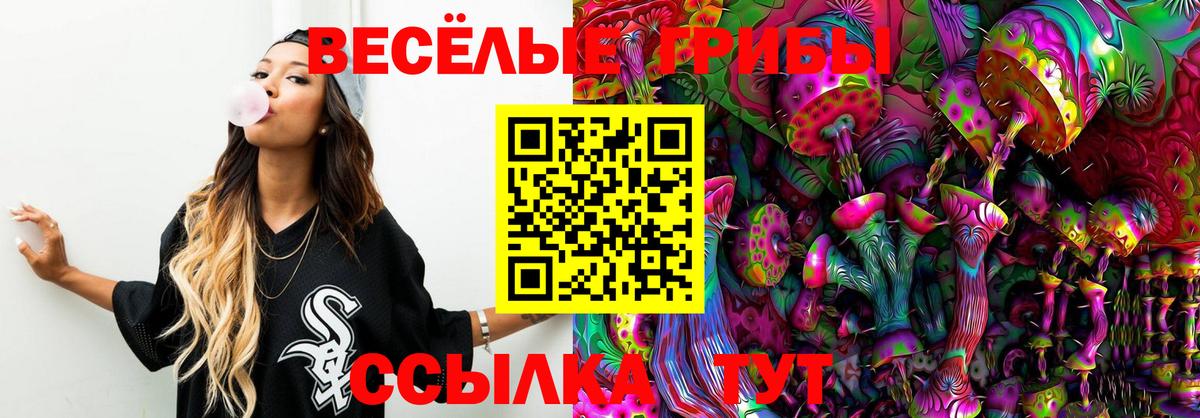 Галлюциногенные грибы Psilocybine cubensis Керчь